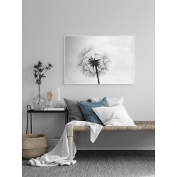 Постер в рамке "Dandelion"