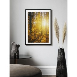 Постер в рамці "Сонячний ліс"