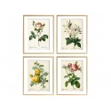 Комплект постерів "Botanical flowers"