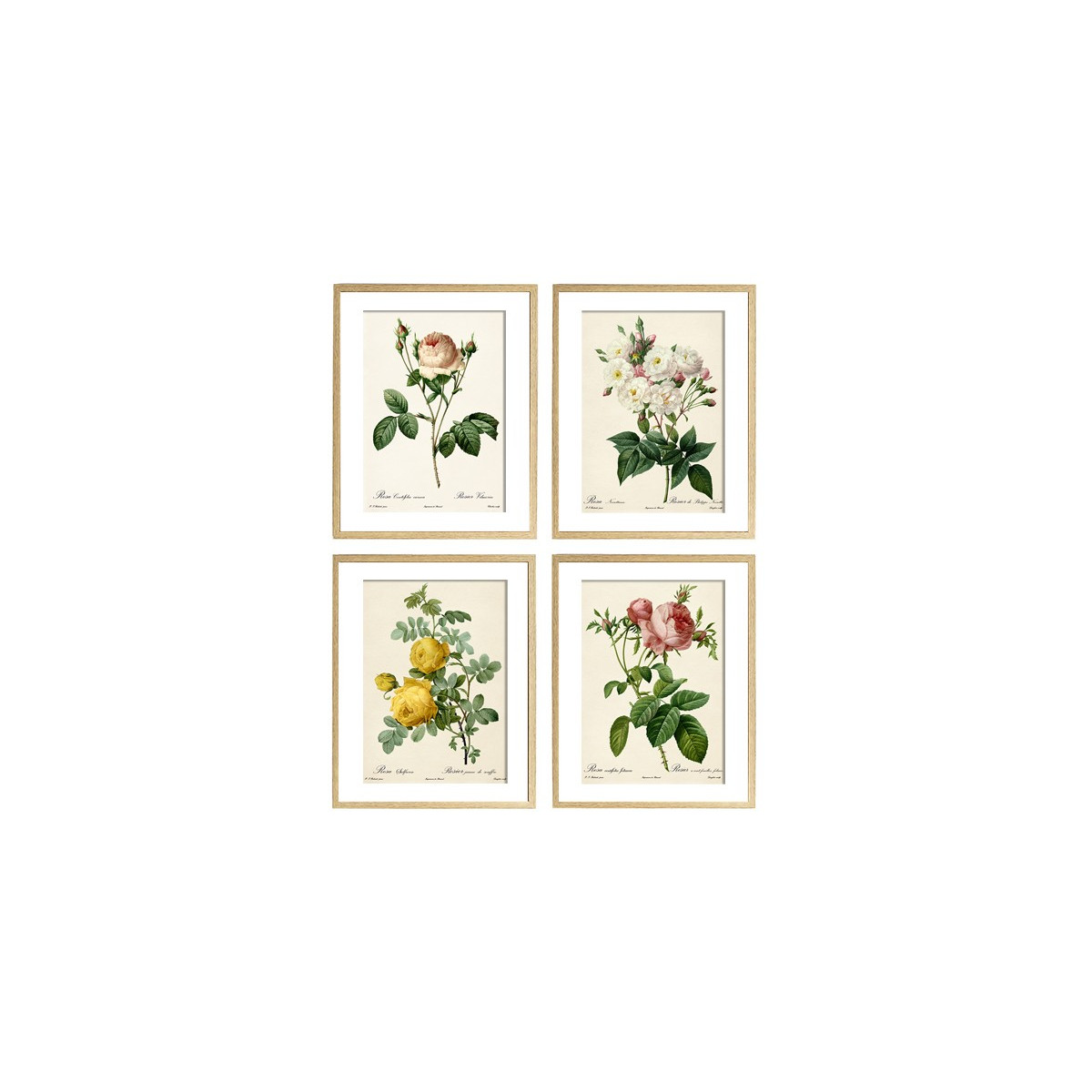 Комплект постерів "Botanical flowers"