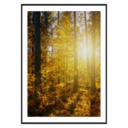 Комплект постерів в рамках "I love you"