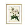 Комплект постерів "Botanical flowers"