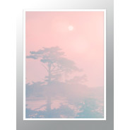 Постер "Tropical"