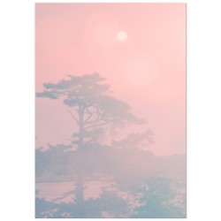 Постер "Tropical"