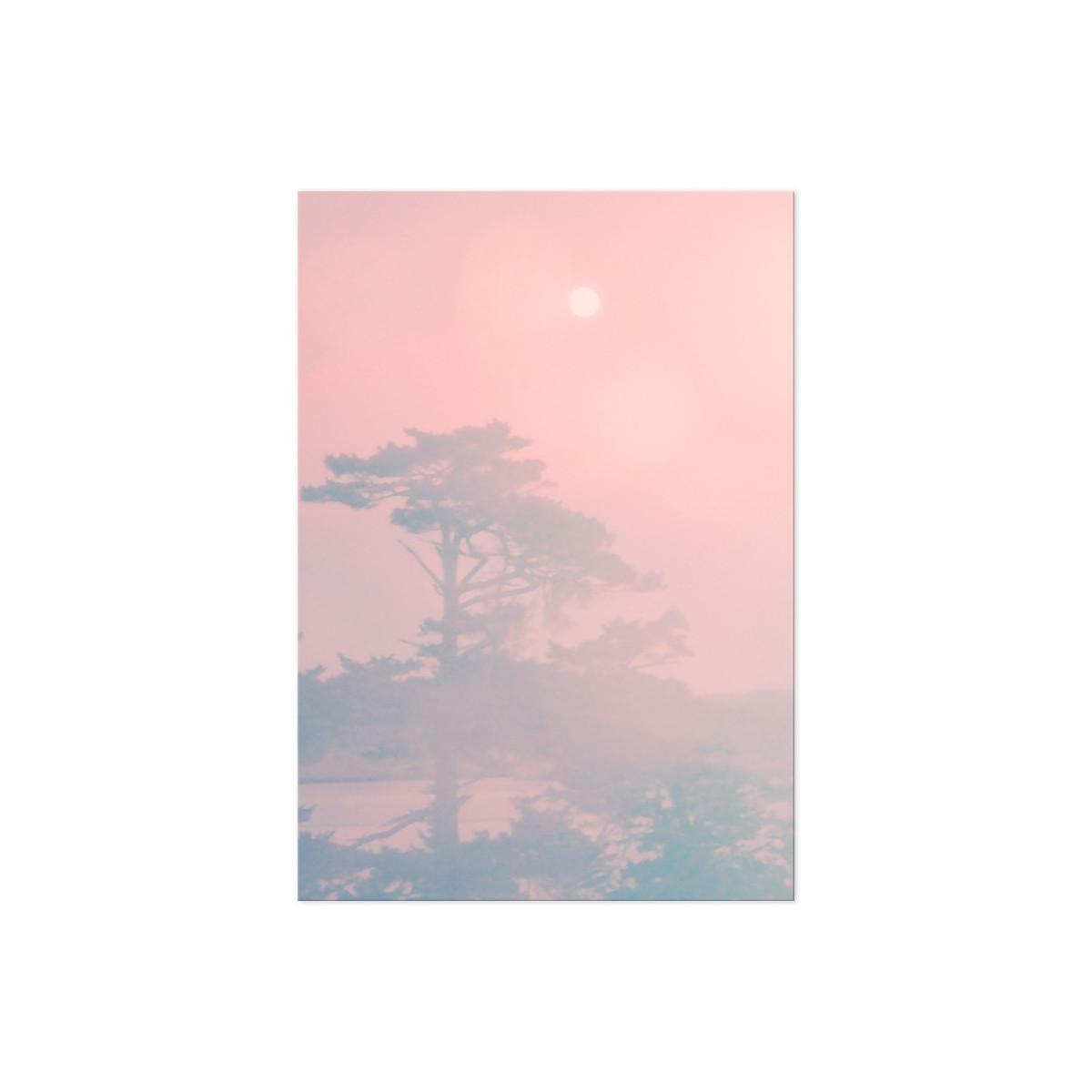 Постер "Tropical"