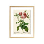 Комплект постеров "Botanical flowers"