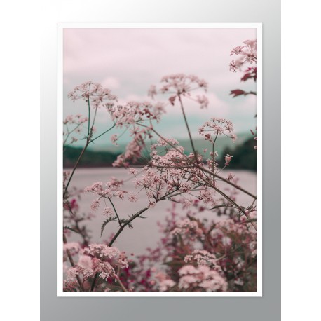 Постер "Tropical"