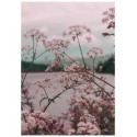 Постер "Tropical"