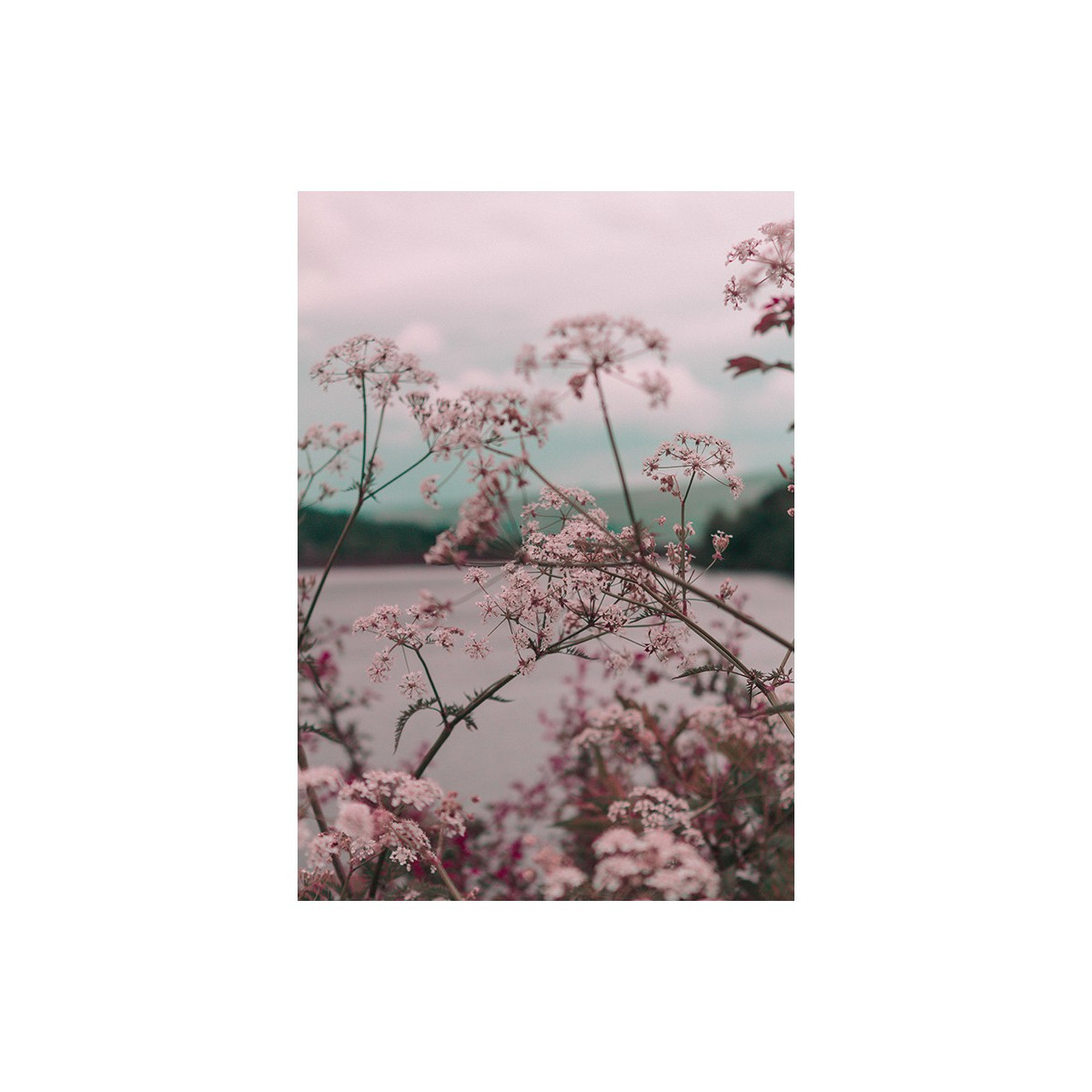 Постер "Tropical"