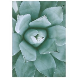 Постер "Tropical"