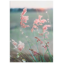 Постер "Tropical"