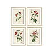Комплект постеров "Botanical flowers"