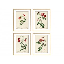 Комплект постерів "Botanical flowers"