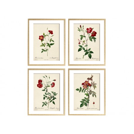 Комплект постеров "Botanical flowers"