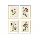 Комплект постерів "Botanical flowers"