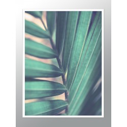 Постер "Tropical"