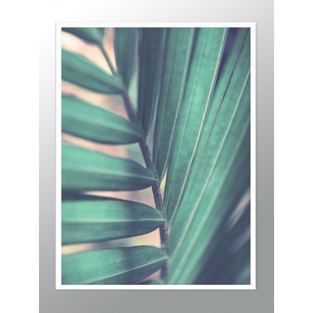 Постер "Tropical"