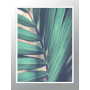 Постер "Tropical"