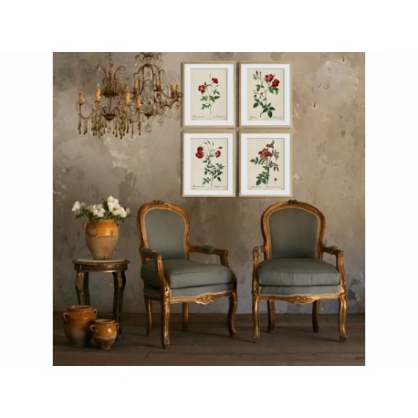 Комплект постеров "Botanical flowers"