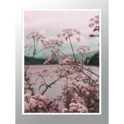 Постер в рамке "Tropical"