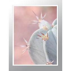 Постер в рамке "Tropical"