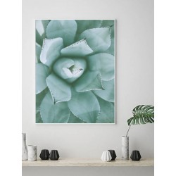 Постер в рамке "Tropical"