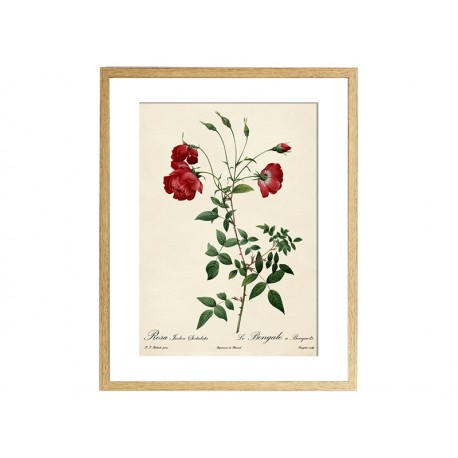 Комплект постеров "Botanical flowers"