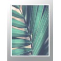 Постер в рамке "Tropical"