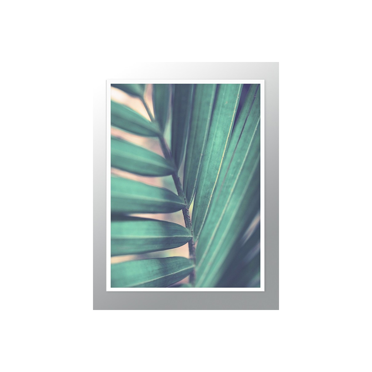 Постер в рамке "Tropical"