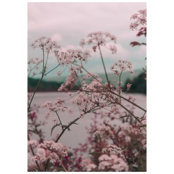 Комплект постеров "Tropical"