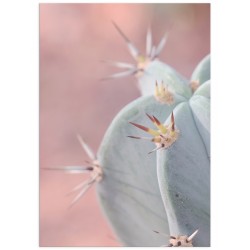 Комплект постеров "Tropical"