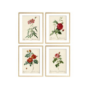 Комплект постеров "Botanical flowers"