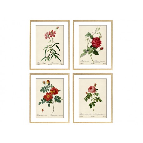 Комплект постеров "Botanical flowers"