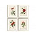 Комплект постеров "Botanical flowers"