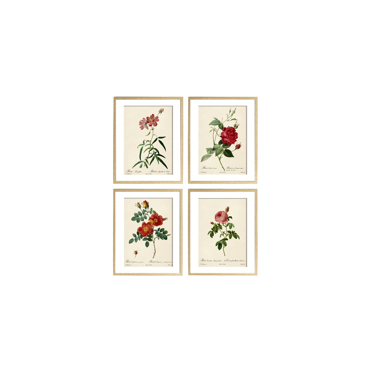 Комплект постеров "Botanical flowers"