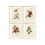 Комплект постеров "Botanical flowers"