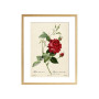 Комплект постерів "Botanical flowers"