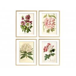 Комплект постерів "Botanical flowers"