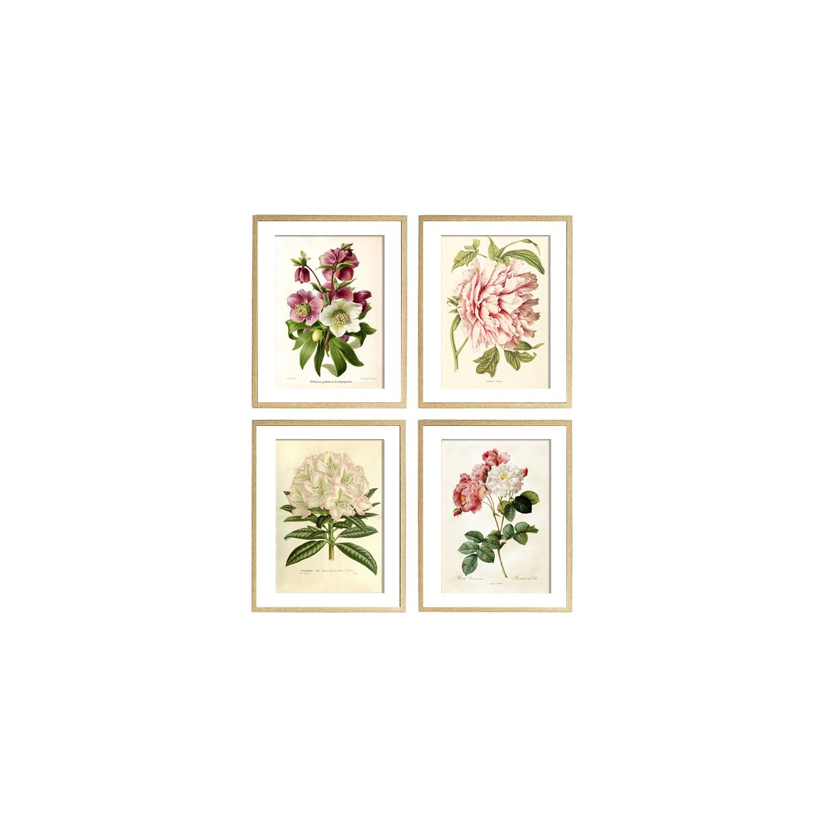 Комплект постеров "Botanical flowers"