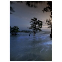 Комплект постеров "Рассвет"