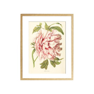 Комплект постерів "Botanical flowers"