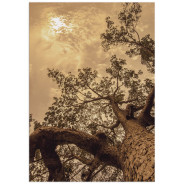 Постер "Tree"