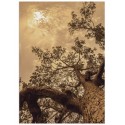 Постер "Tree"
