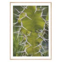 Постер в рамці "Cactus"