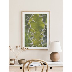 Постер в рамке "Cactus"