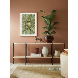 Постер в рамці "King Agave"