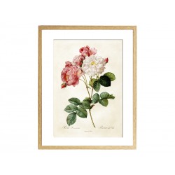 Комплект постеров "Botanical flowers"