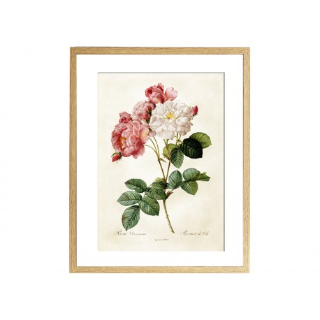 Комплект постерів "Botanical flowers"
