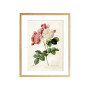 Комплект постерів "Botanical flowers"
