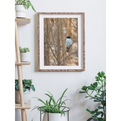 Постер в рамці "Блакитна сорока"